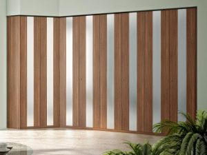 Wood and Mirror Closet Doors