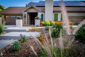 Diy Drought Tolerant Landscaping Ideas