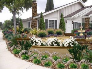 Drought Resistant Backyard Landscaping Ideas
