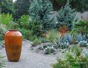 Drought Resistant Front Yard Designs