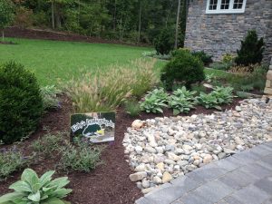 Drought Resistant Front Yard Ideas