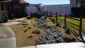 Drought Tolerant Landscape Design Photos