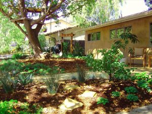 Drought Tolerant Landscape Design Sitting Area
