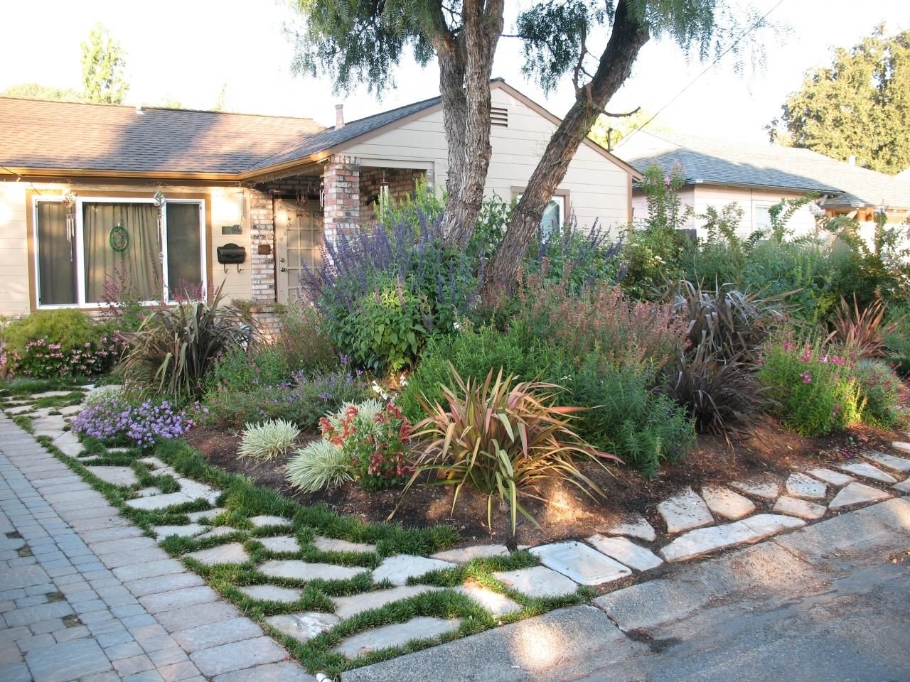 Drought Tolerant Landscaping Images
