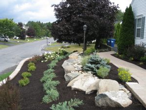Front Yard Landscaping Ideas Drought Tolerant