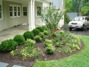 Front Yard Landscaping With Boxwoods