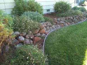 Hillside Landscape Design Drought Tolerant Plants
