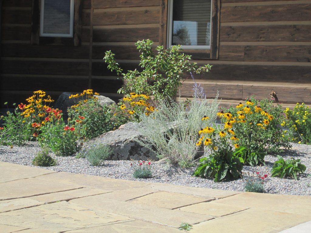 Smart Drought Tolerant Landscape Design — Randolph Indoor and Outdoor ...