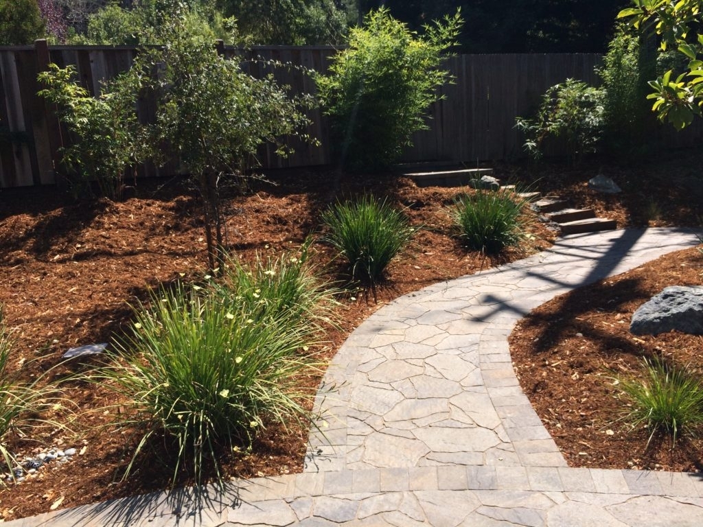 Landscaping Ideas With Drought Tolerant Plants