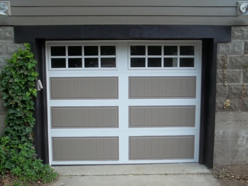 Modern Painting Garage Door