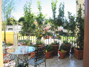 Small Patio Design Ideas Tips