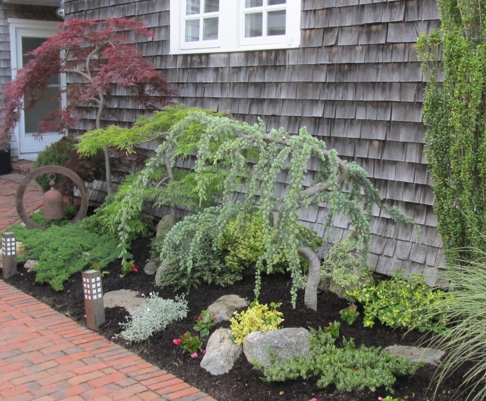 Dwarf Evergreen Trees For Landscaping