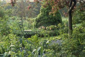 Dwarf Spruce Trees For Landscaping