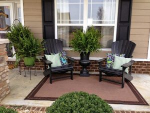 Front Porch Topiary Trees And Plants
