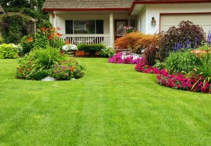 Awesome Curbside Landscape Ideas