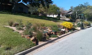 Beautiful Curbside Landscape Design