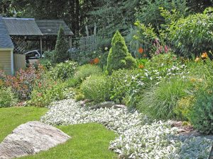 Best Hillside Landscape Ideas