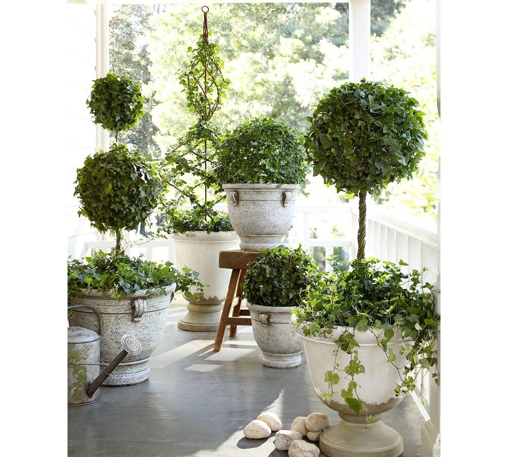 Best Plants For Front Porch Planters — Randolph Indoor and Outdoor Design