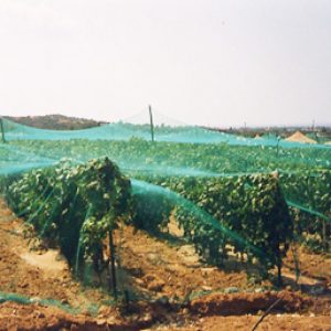 Bird Landscape Netting