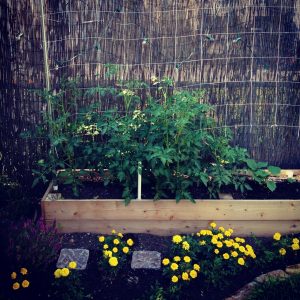 Black Landscape Netting