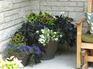 Black Planters For Front Porch