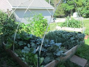 Coir Landscape Netting