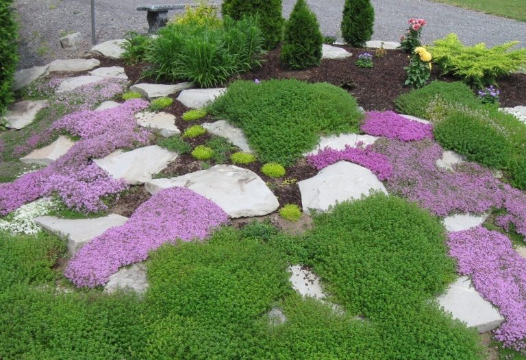 Landscaping Ideas For Front Yards With White Rocks — Randolph Indoor