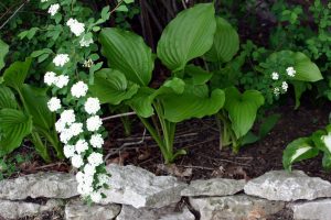 Curbside Landscape Design Ideas