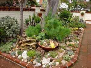 Desert Landscaping Succulents With Pots