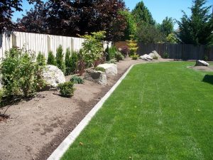 Diy Concrete Landscape Edging Design