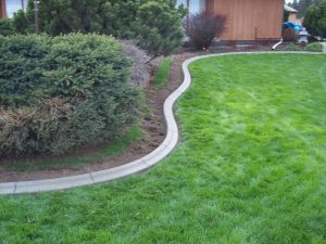 Diy Concrete Landscape Edging Existing Concrete