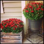 Flower Planters For Front Porch