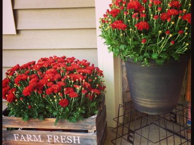 Flower Planters For Front Porch