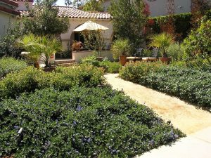 Front Yard Brigie Sidewalk Landscaping Ideas