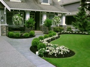 Front Yard Sidewalk Landscaping Ideas