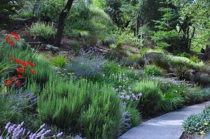 Ideas To Landscape A Steep Hillside