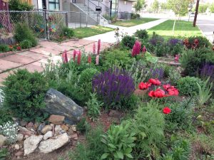 Landscape Designs For Curbside