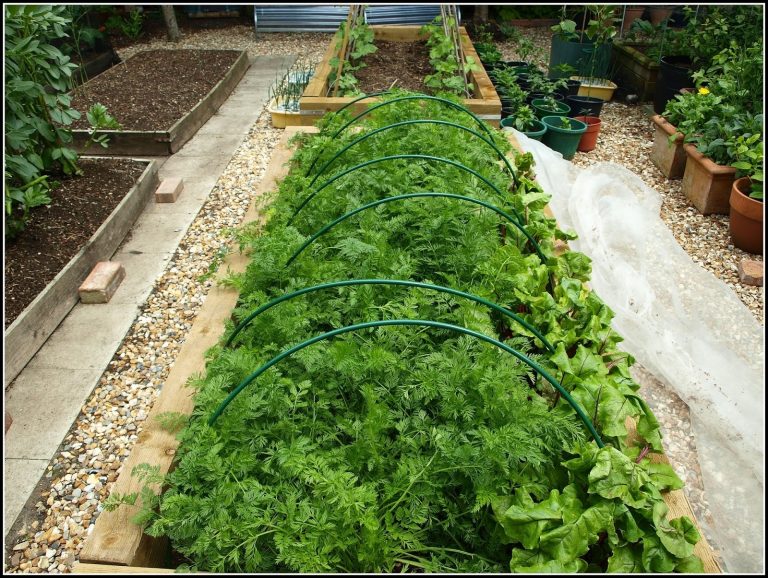 Landscape Netting For Slopes — Randolph Indoor and Outdoor Design