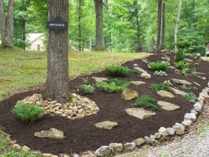 Landscape Ideas For A Hillside