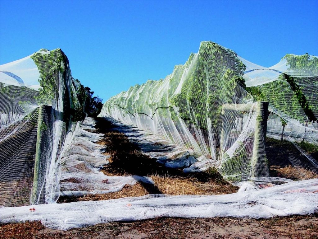 Landscape Netting To Hold Mulch — Randolph Indoor and Outdoor Design