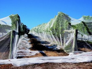 Landscape Netting Cover