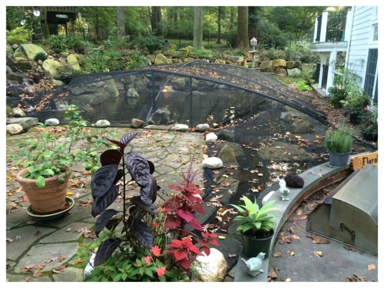 Landscape Netting For Slopes — Randolph Indoor and Outdoor Design