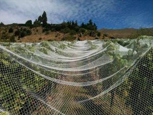Landscape Plastic Netting