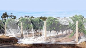 Landscape Shade Netting