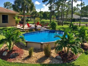 Landscaping Around Above Ground Pool Pictures