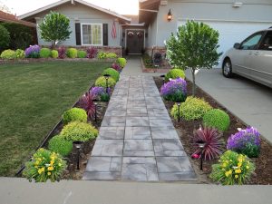 Landscaping Ideas Down A Front Entrance Sidewalk