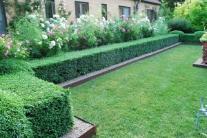 Landscaping With Boxwood Hedges