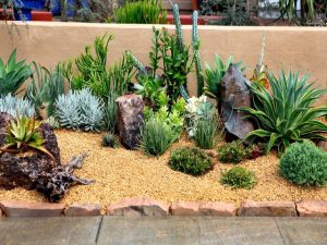 Landscaping With Grasses And Succulents