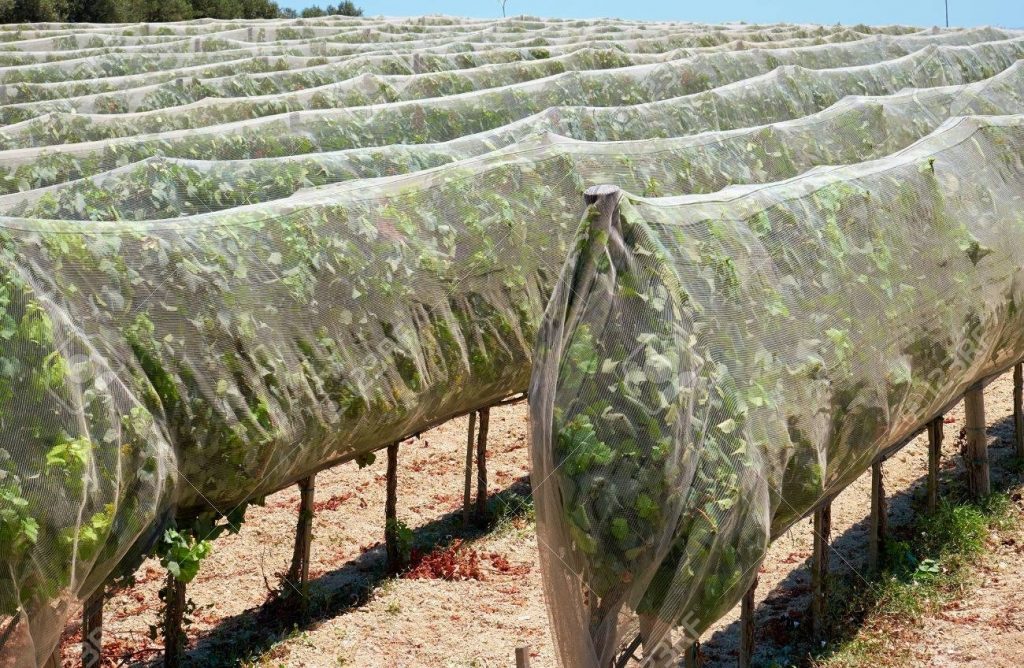 Landscape Netting For Slopes — Randolph Indoor and Outdoor Design