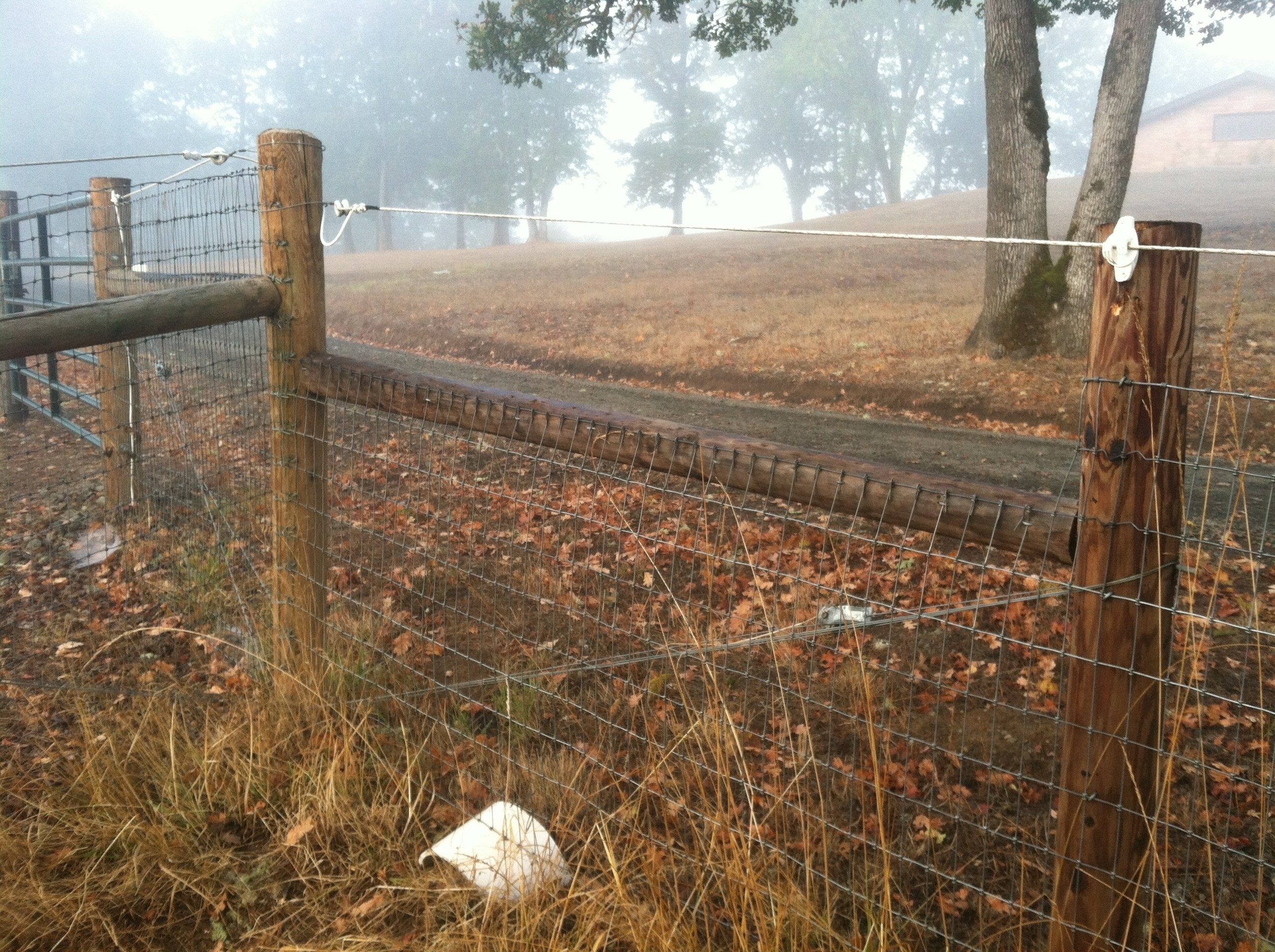 Metal Arch For Landscape Netting Deer